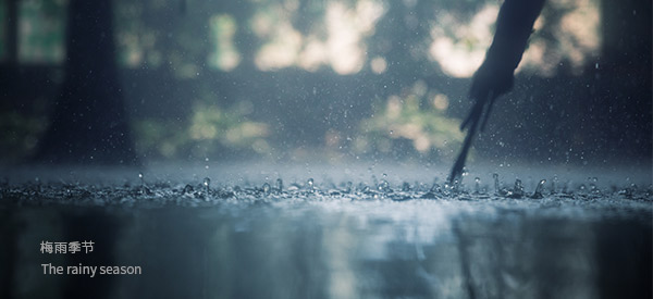 梅雨季節(jié)到了，您家的別墅地下室做了防潮處理嗎？